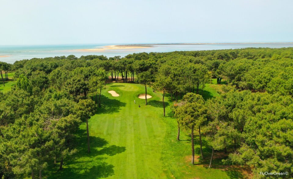 Palmyre Présentation1