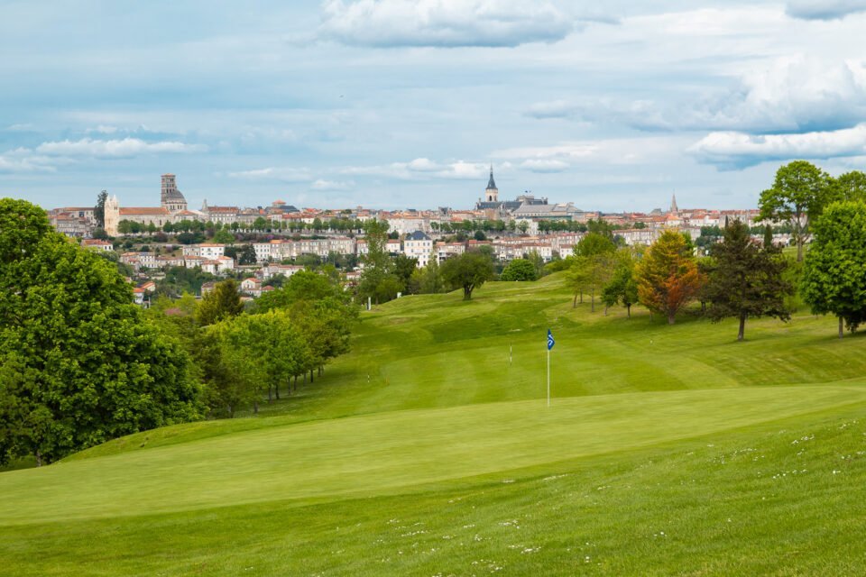 Hirondelle Présentation1