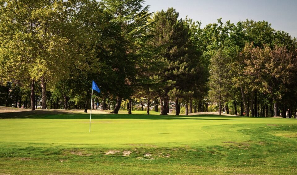 Hirondelle Présentation2