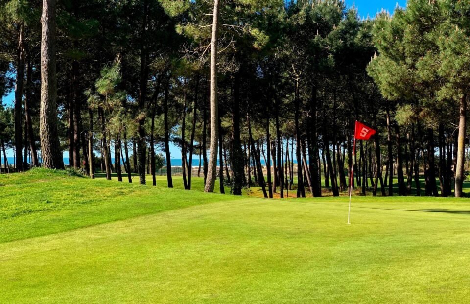 Palmyre Présentation2