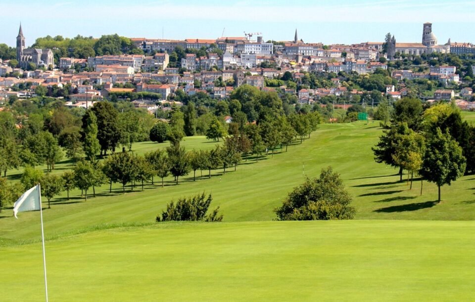 Hirondelle Présentation3