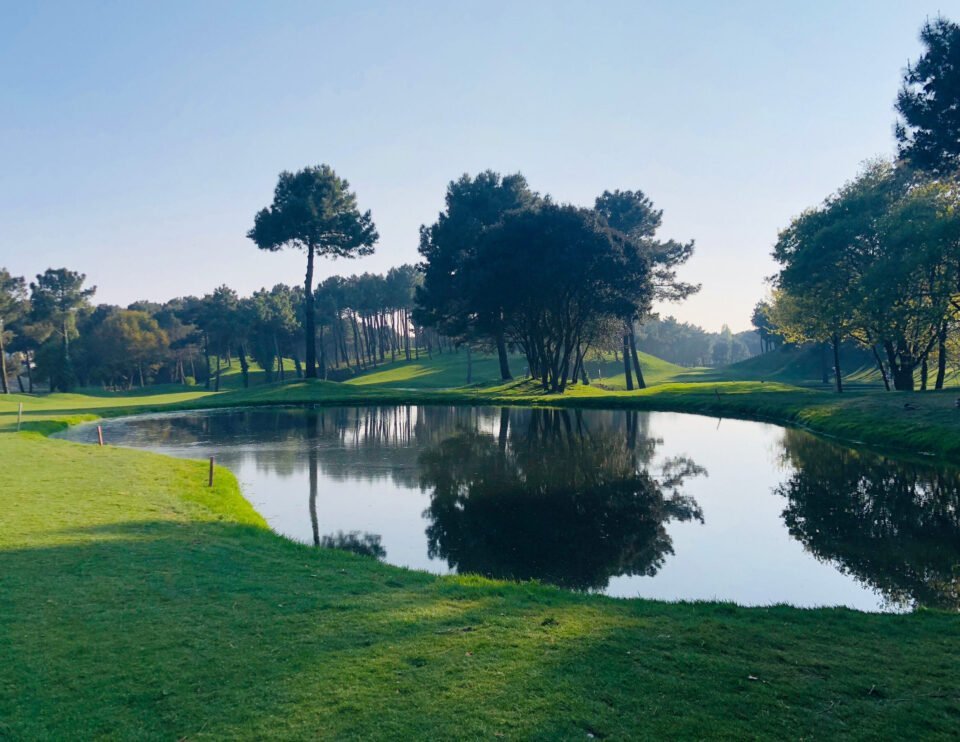 Palmyre Présentation3