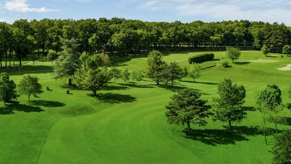 Hirondelle Présentation5