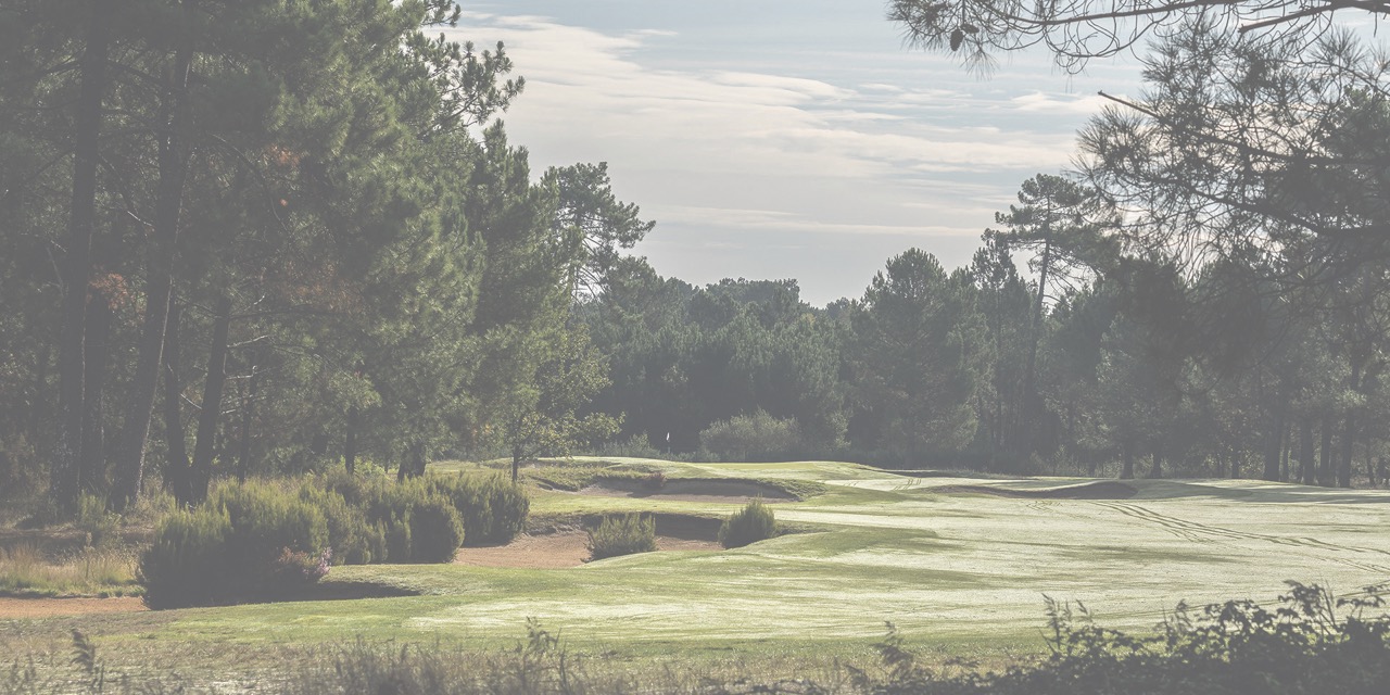 Copie de Vignes course N°11 Grande